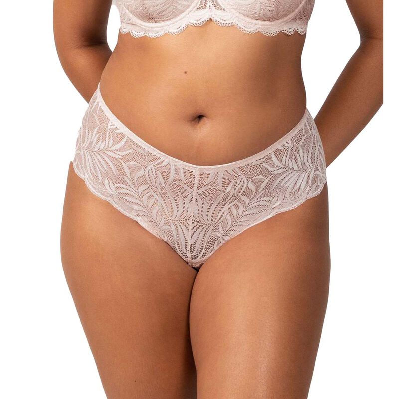 Triumph Essential Lace Maxi Brief image number 3
